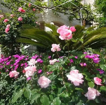 Peric Гостевой дом Дубровник