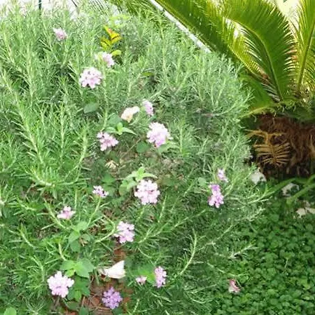 Peric Penzion Dubrovník