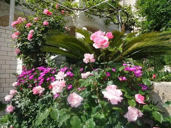 Peric Vendégház Dubrovnik