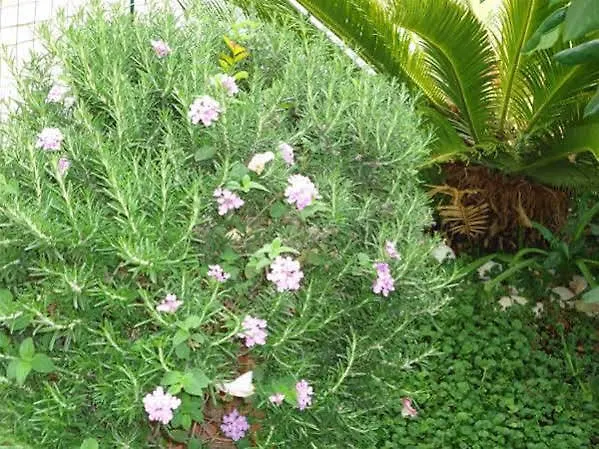 Peric Vendégház Dubrovnik