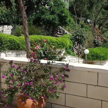 Guest house Peric 3*
